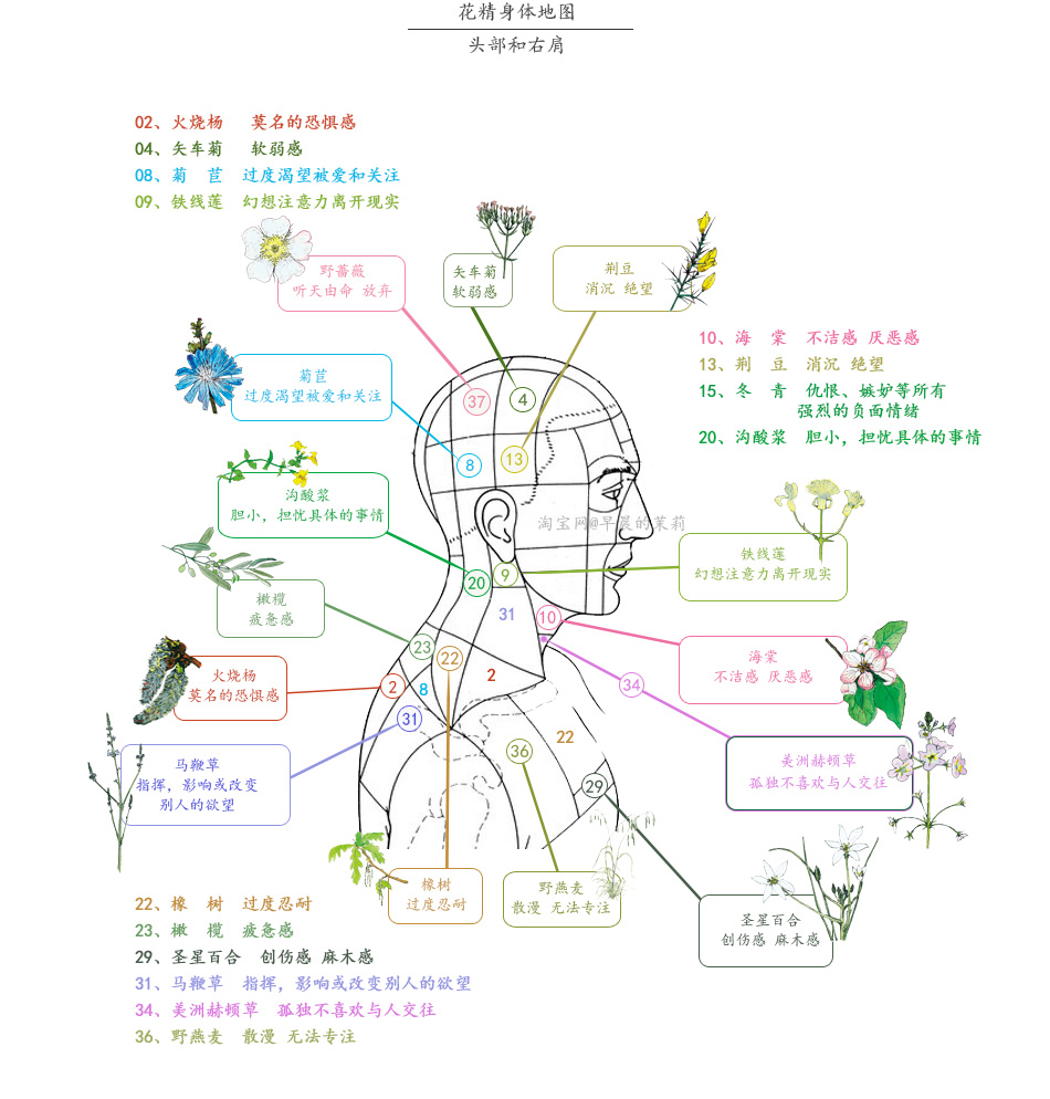 花精附录:情绪自测详表 & 身体地图