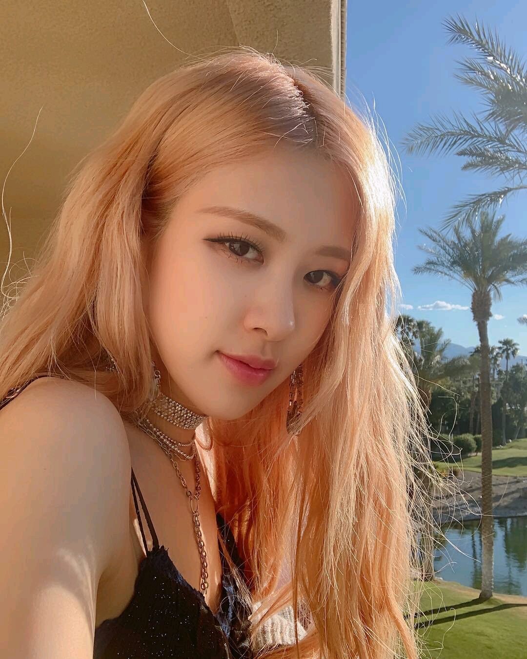 罗婕女士的图片(第二弹,上)