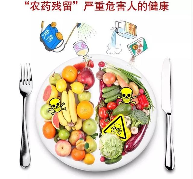 民以食为天食以安为先农药残留检测