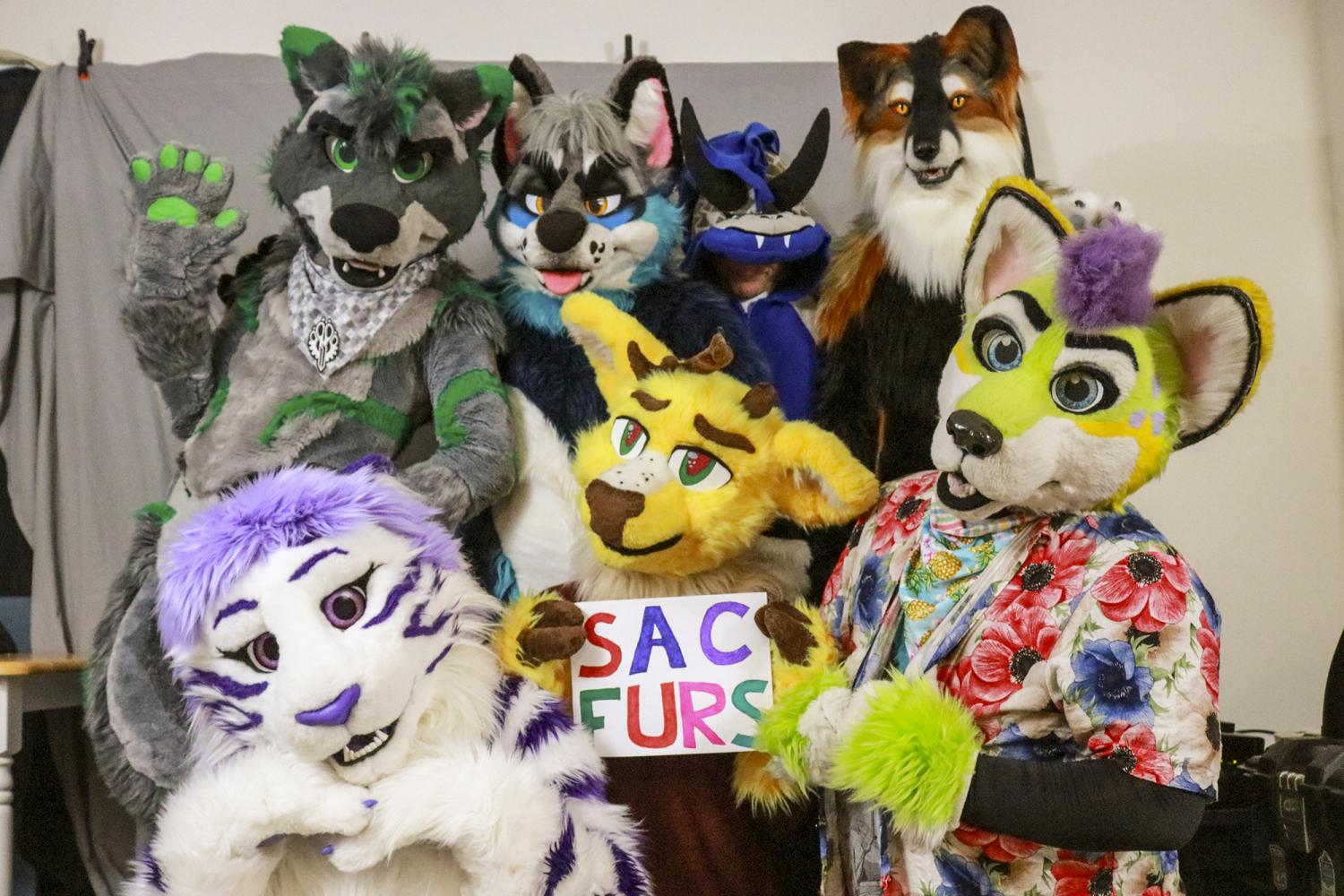 美系fursuit图集一