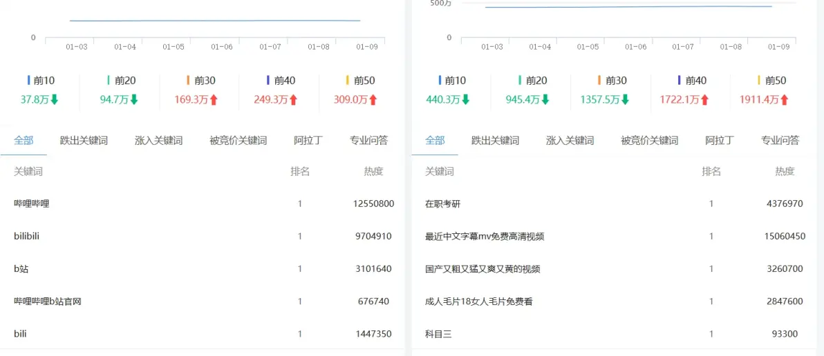 如何高效利用网站专题源码提升项目开发效率？