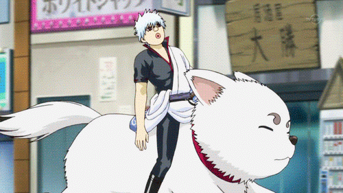 发了几个银魂小视频到抖音真的记录了美好生活