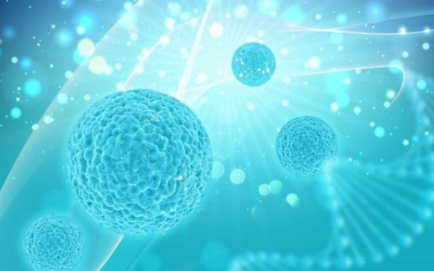 免疫球蛋白igg低是怎么回事 75b79ddde91a227ebc789bb37bbb8a0ad16dd736.png