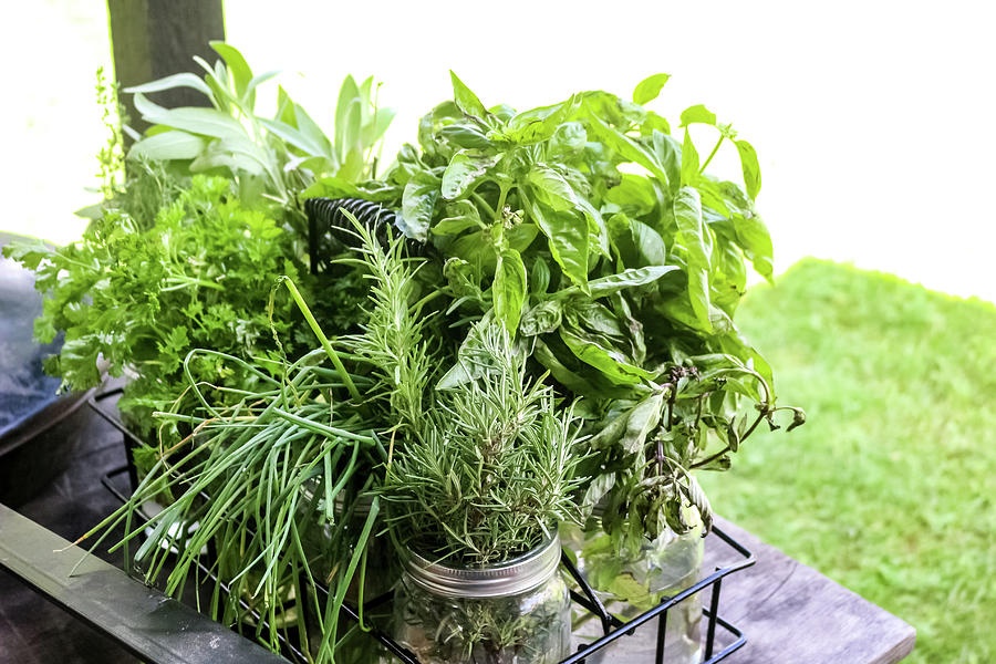 让西餐美味惊艳的杂草香料大全