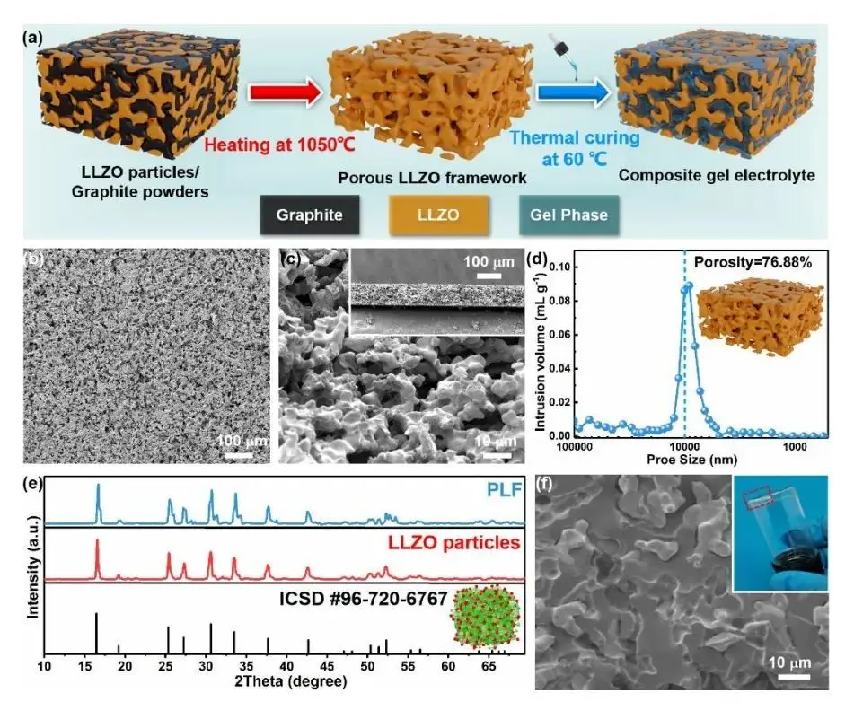 凝胶电解质改变锂枝晶生长模式，用于界面稳定的锂金属电池