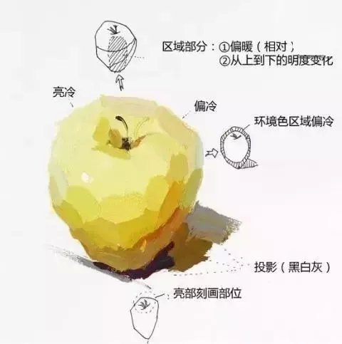 盘一盘色彩静物单体