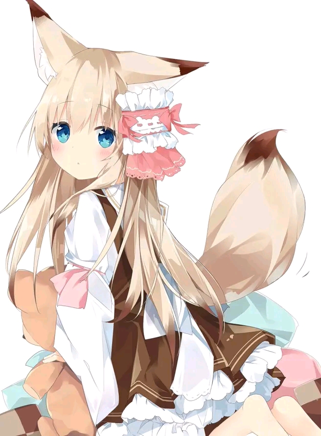 《二次元兽娘大合集.5》