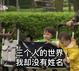 近期本和威廉表情包来了