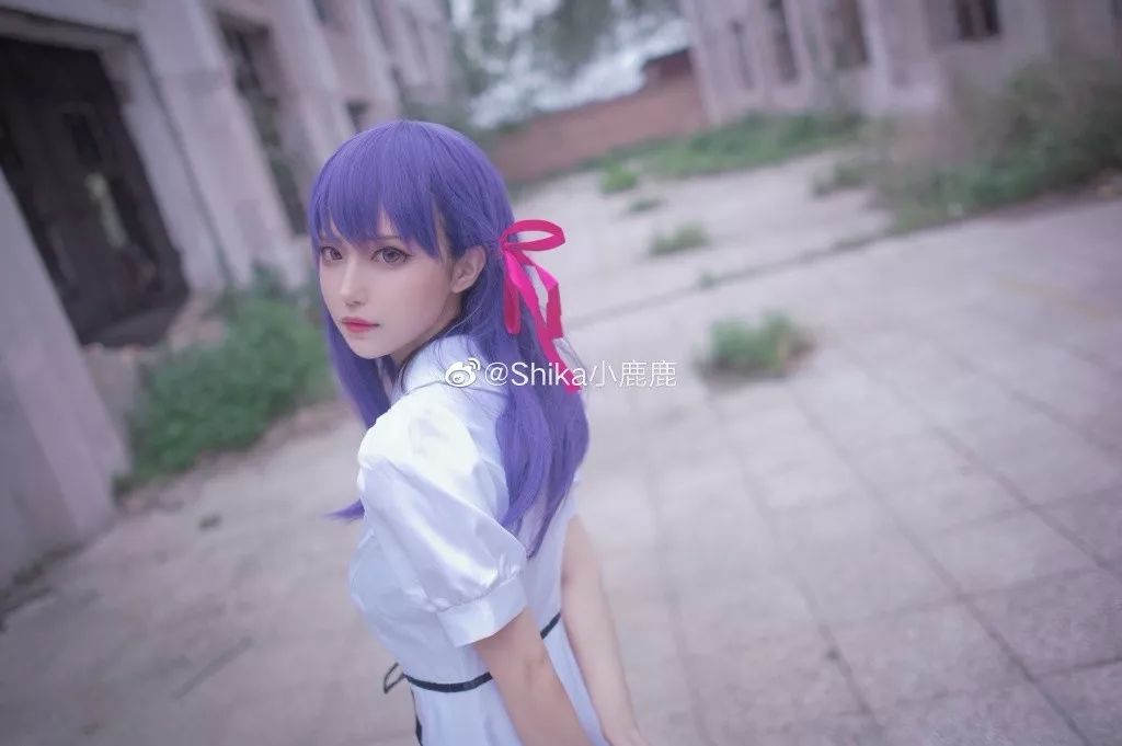 间桐樱@shika小鹿鹿 phx@用鳍按快门的海豹_白集 staff@ryona风间