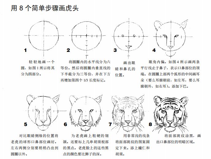 往详细点,还有描述虎头和狮子头的差异等等.