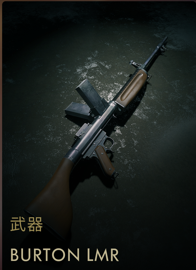 波顿lmr