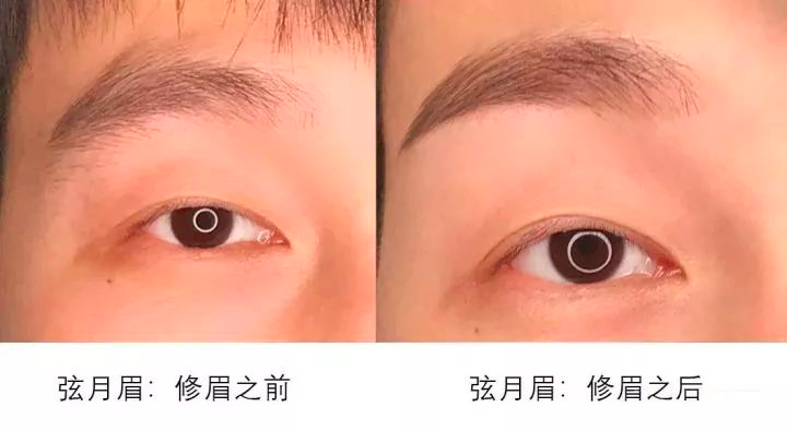 弦月眉属于