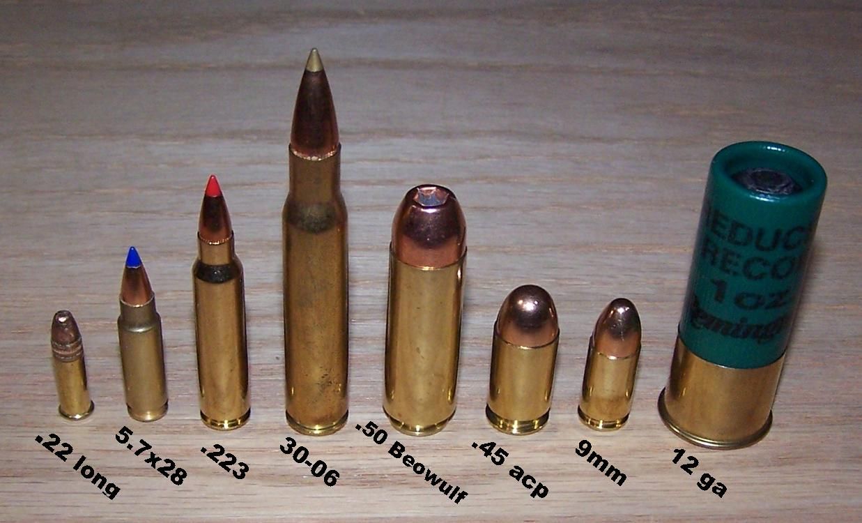 霰弹分类以及霰弹枪分类