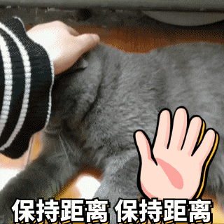 超可爱-猫咪表情包(gif)睡觉篇