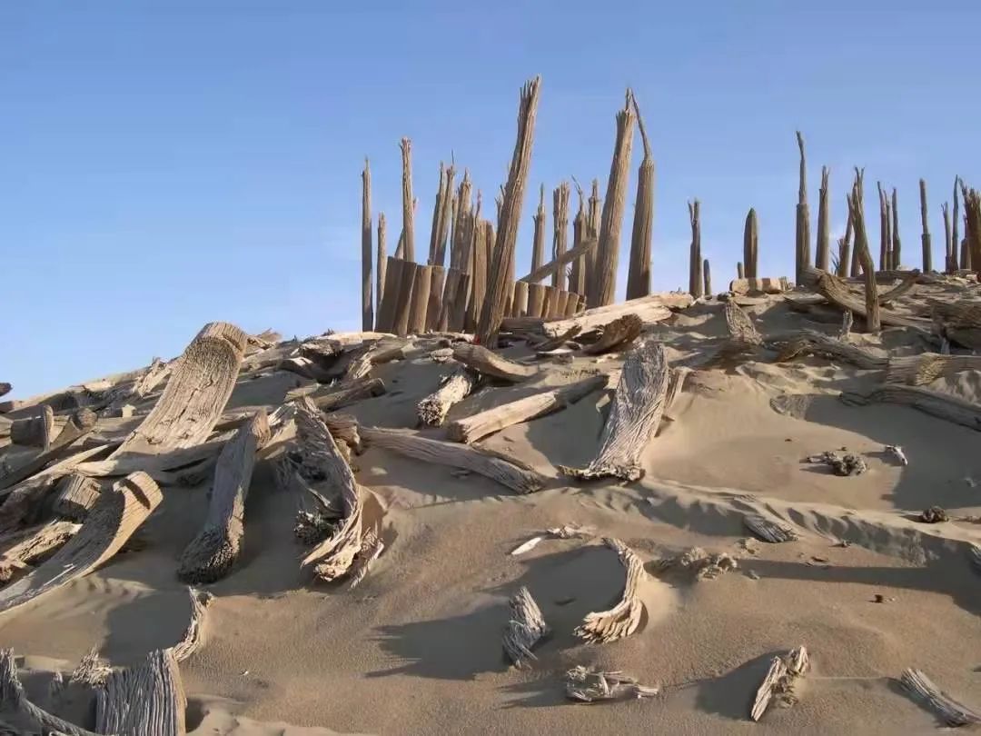 塔里木盆地有人吗 78694ea2d94fb00ffce3961e37c9bbcb3816c2ce.jpg