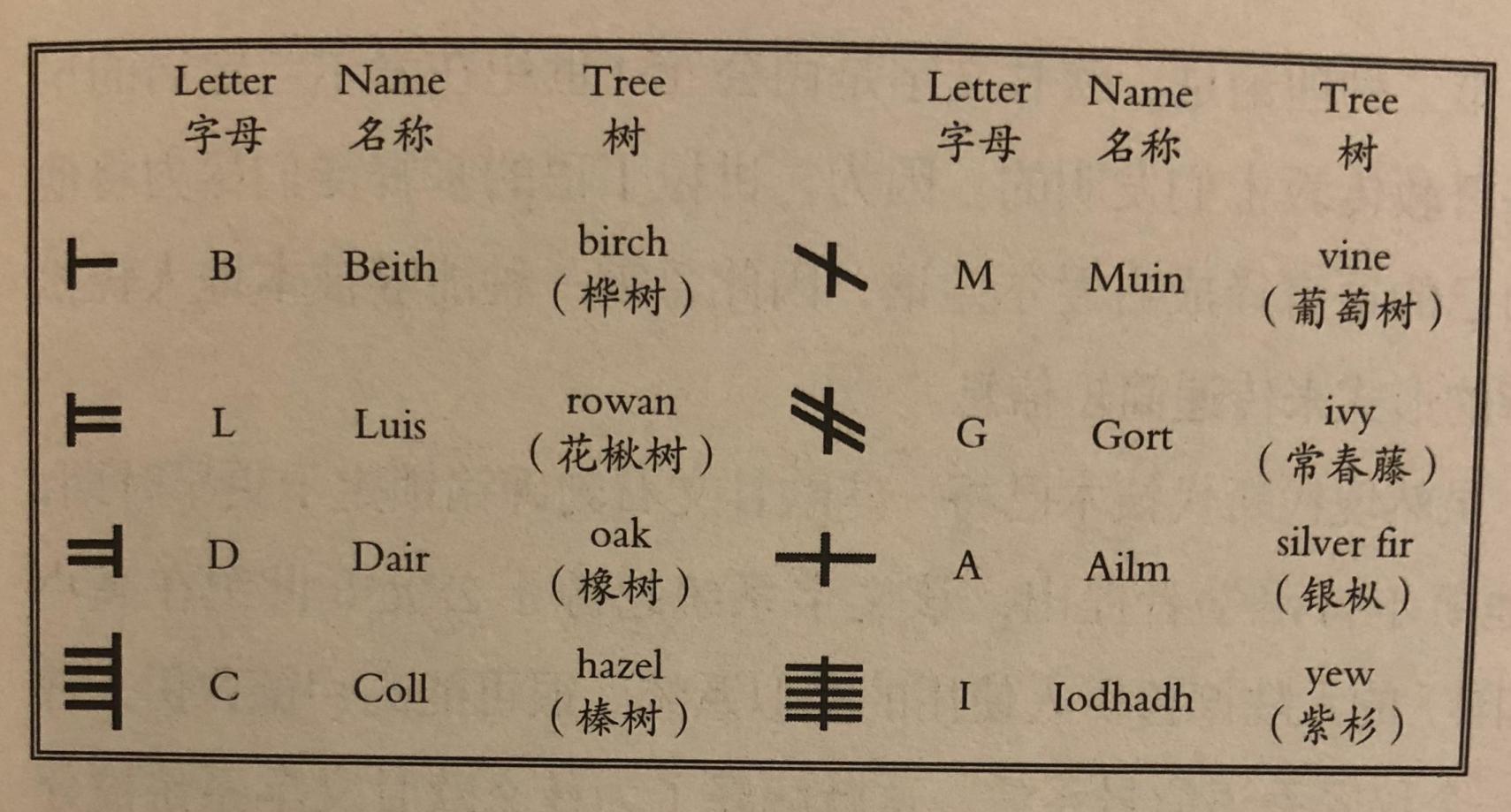 对艾尔登法环文本中重要词汇的分析及凯尔特神话等的简单科普