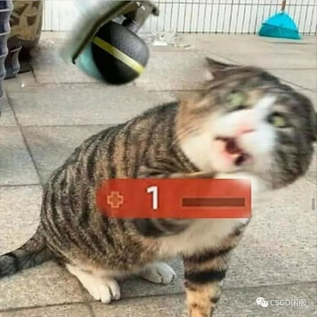 【搞笑图集】CSGO里行走的表情包