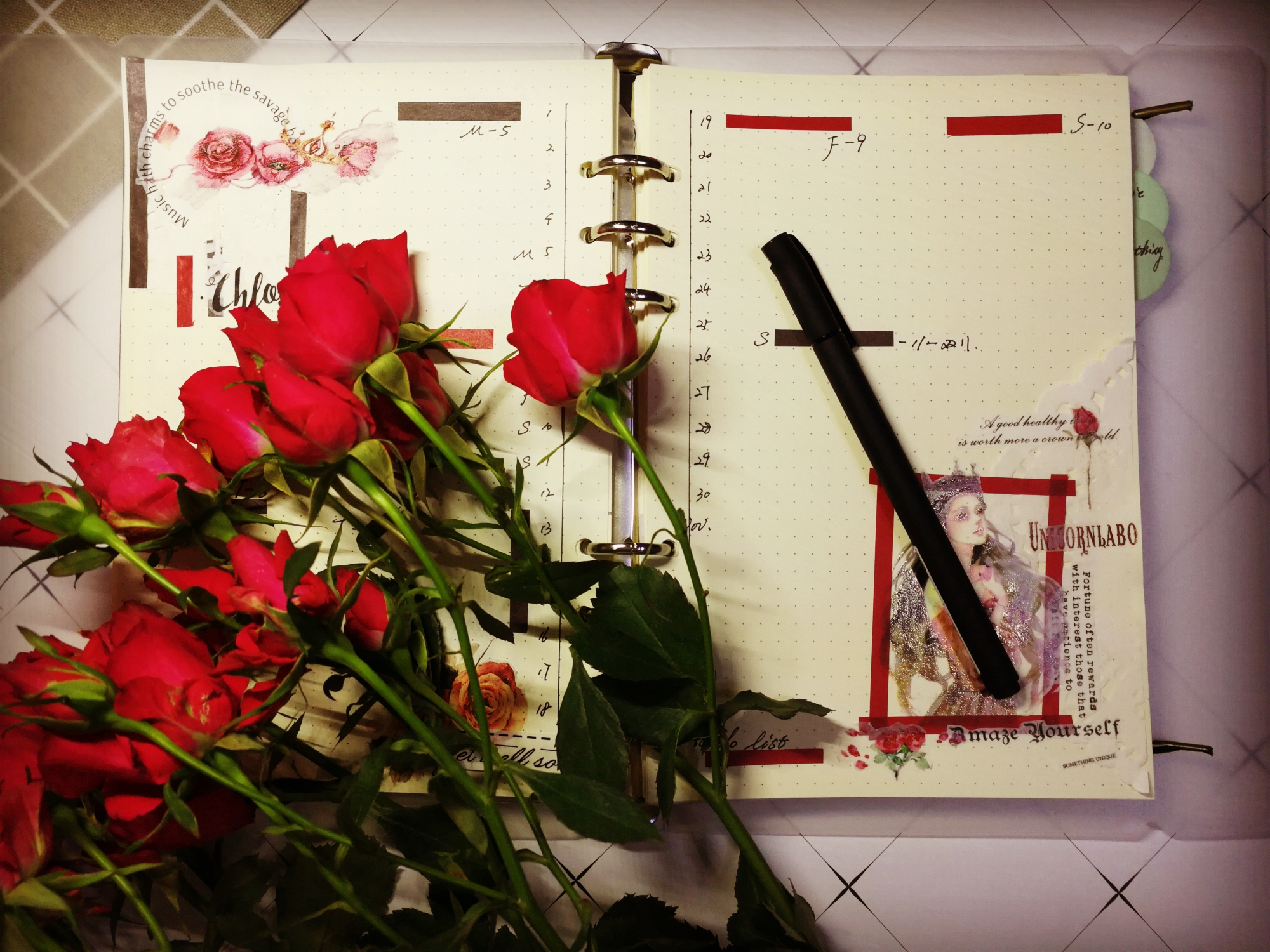 红玫瑰带来的红与黑灵感,这周的主题是玫瑰与王冠