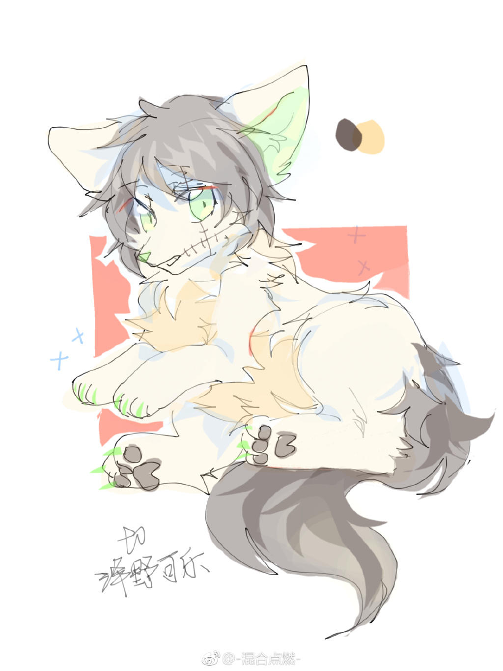 有朋友劝我,混兽圈做专栏,不容易,你有点计算机的底子,不如做视频吧.