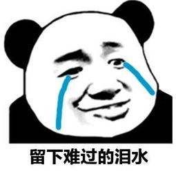 2020年计算机编程教程的安排
