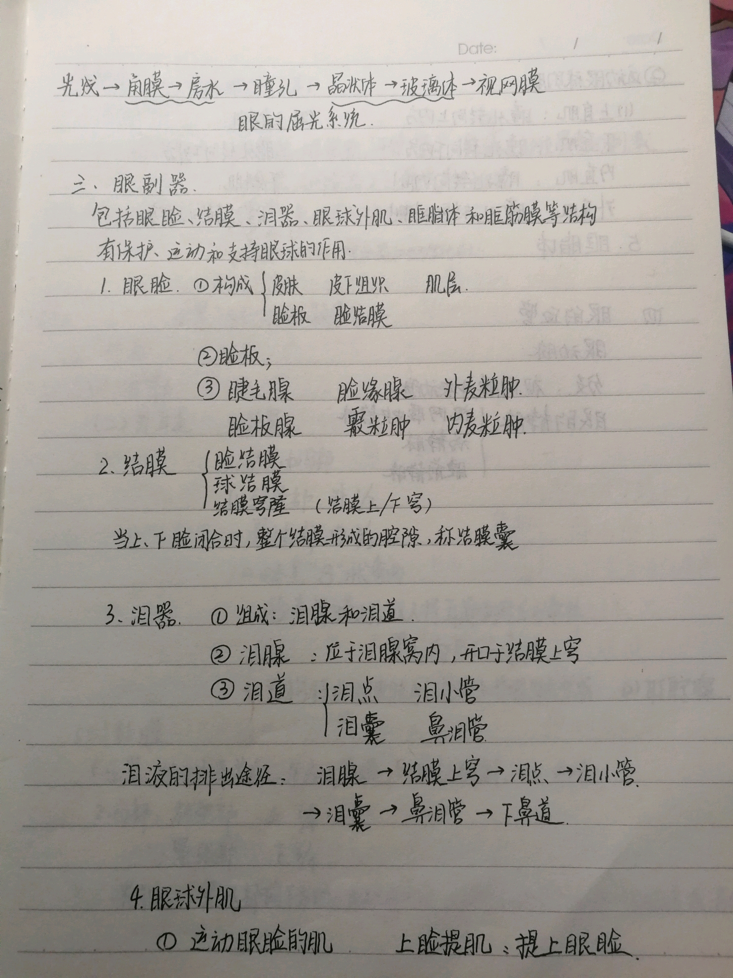 生殖系统,内分泌系统,循环系统,感觉器官和神经系统等),阐述正常人体