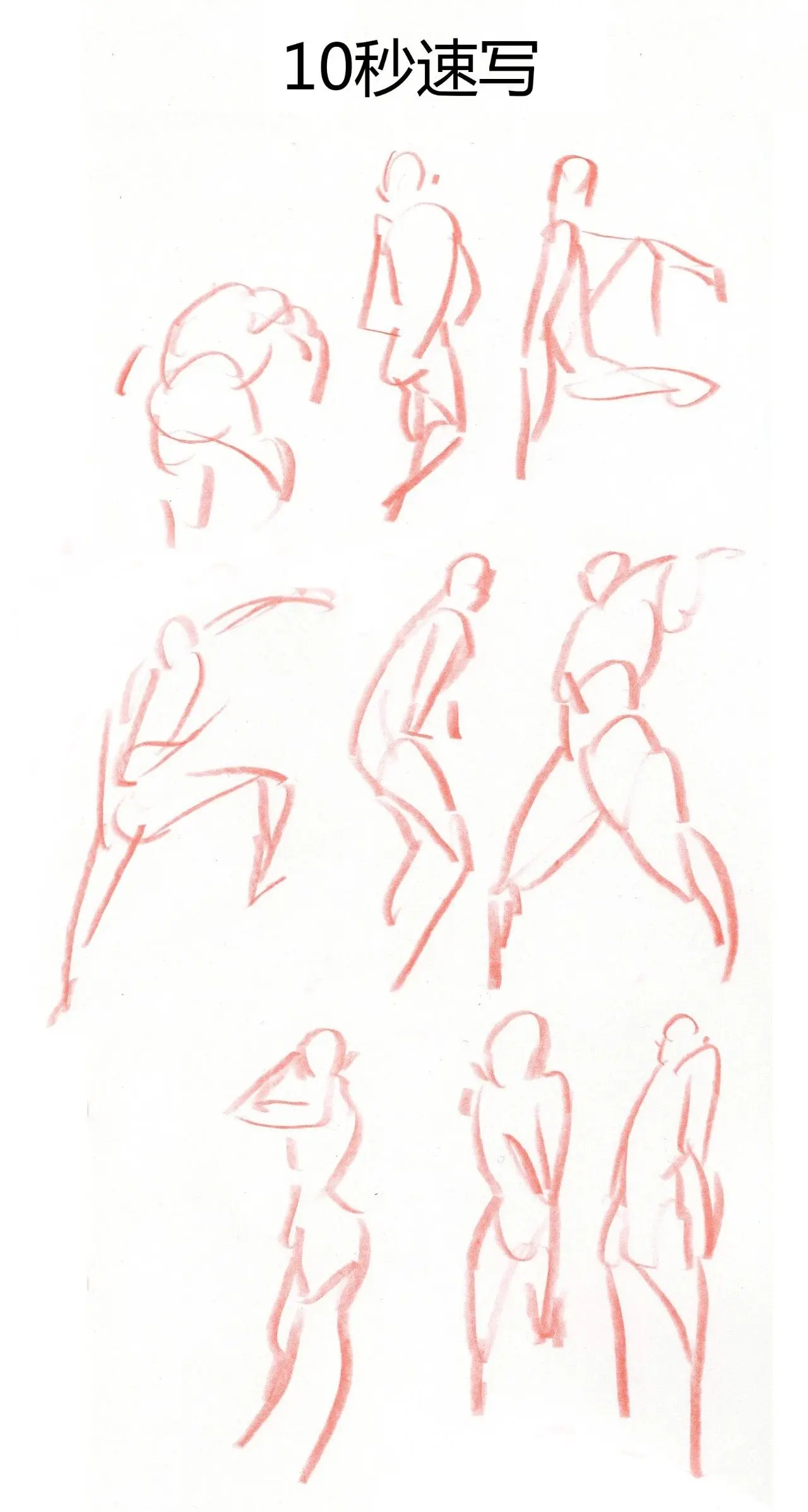 【史上最详细速写教学】给你速写入门的秘诀，零基础快速学会画速写