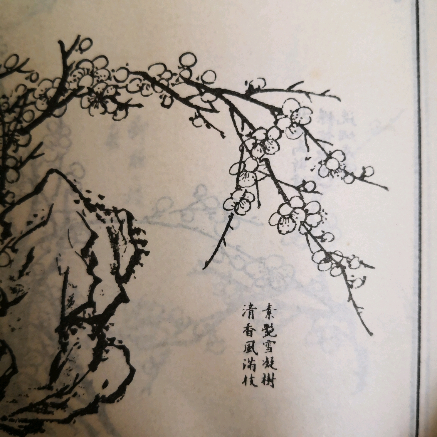 肖战的梅花竟然这样构图?