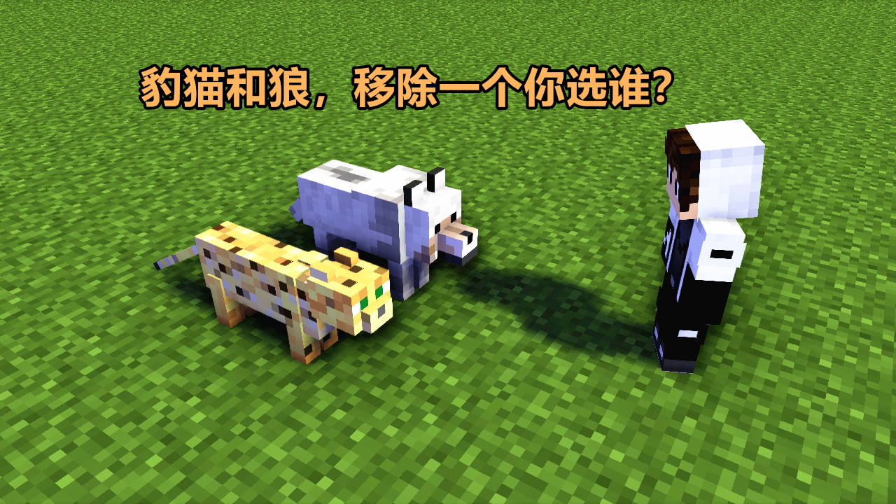 mojang你问我答:mc玩家提出的13个奇葩问题,官方被问得好惨!