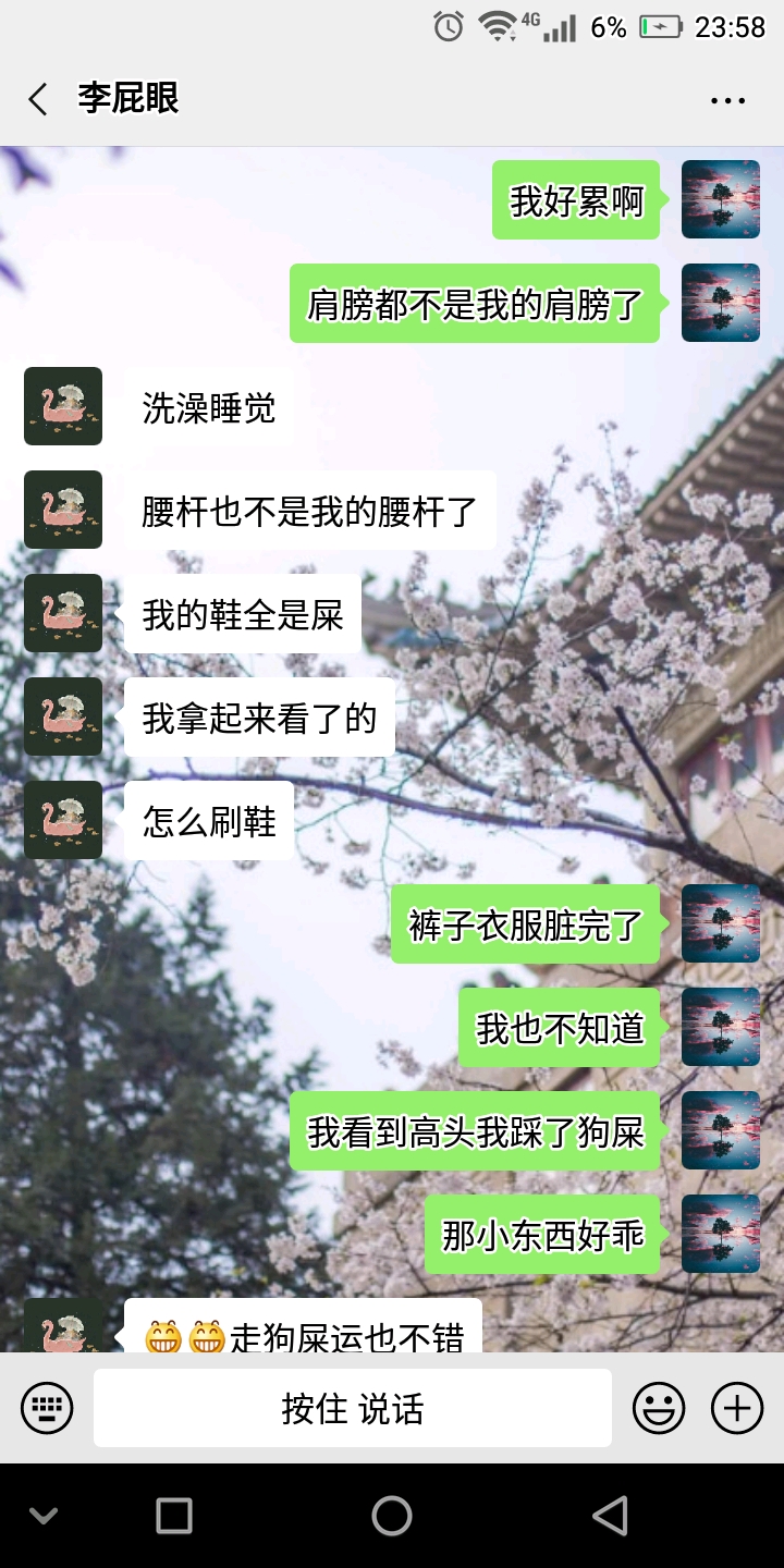 关于老疯杨流浪动物救助中心 —— 一次救助有感