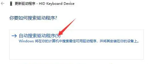 如何修复Windows 11中失效的Win键？