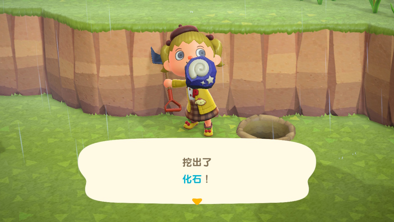 日常的化石挖掘(有点在下小雨了