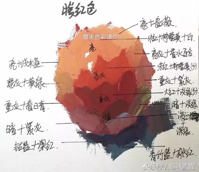 水粉苹果的画法: 红苹果画法: 用深红色加褐色作为暗部的色彩,苹果