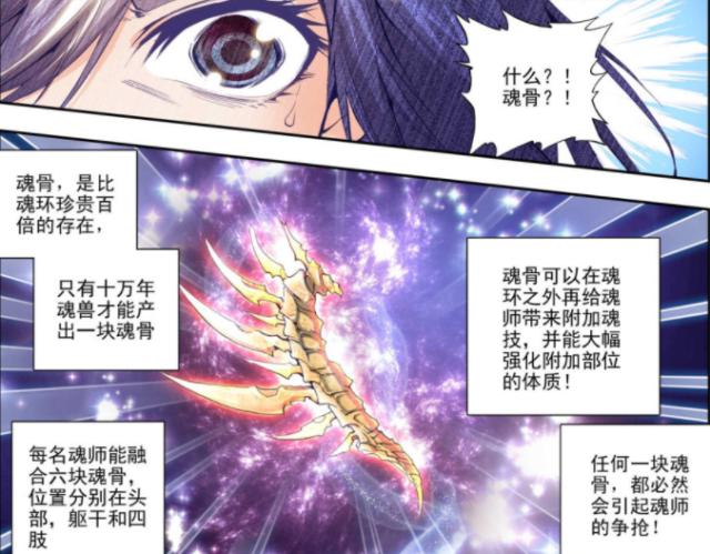 斗罗大陆:代价为魂骨的赌局,看似差距悬殊,实际上周漪