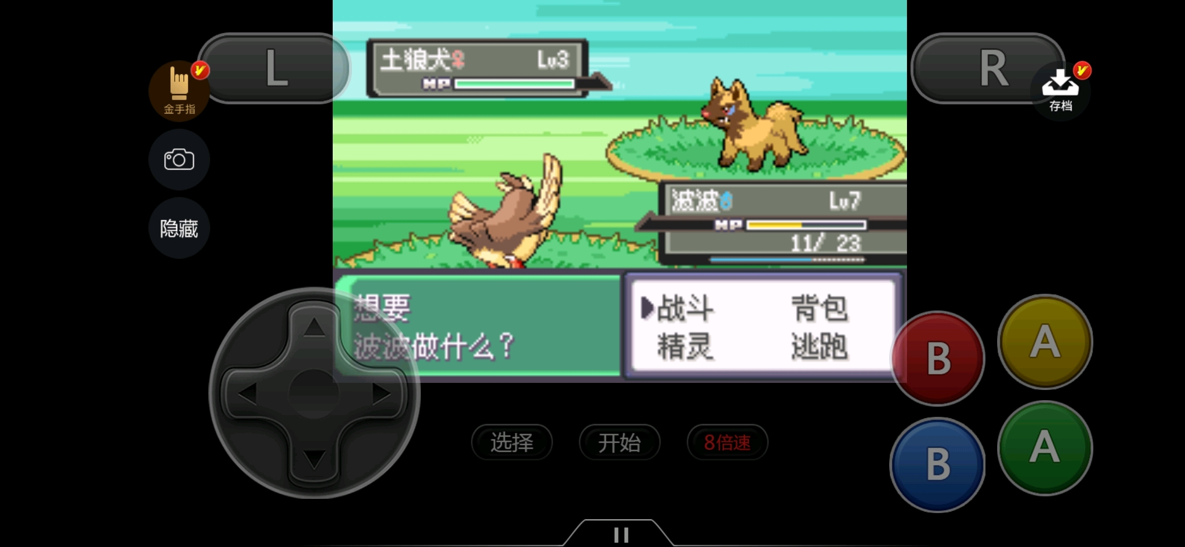 间隔不过十分钟来了闪光土狼犬