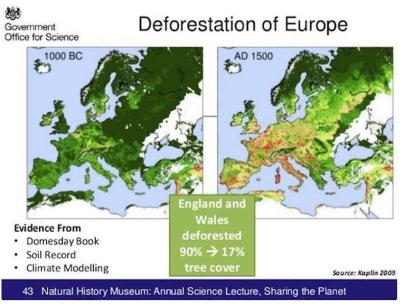 (欧洲的森林采伐:左为公元前1000年,右为公园1500年,其中英格兰和