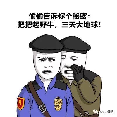 【原创壁纸】高清无码CSGO表情包，6月专属手机壁纸