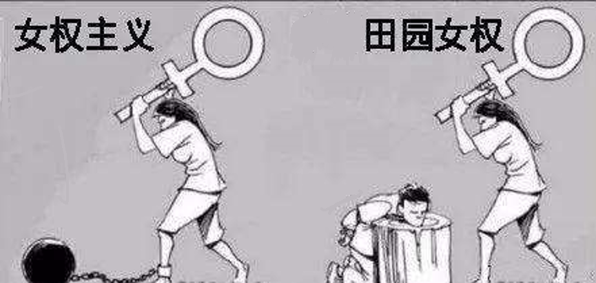 抖音6000w播放量,从王默默视频聊一聊毒鸡汤危害以及男女对立现状