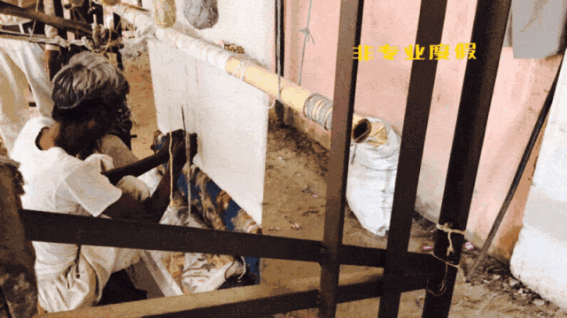 一个人眼里也有一千个印度