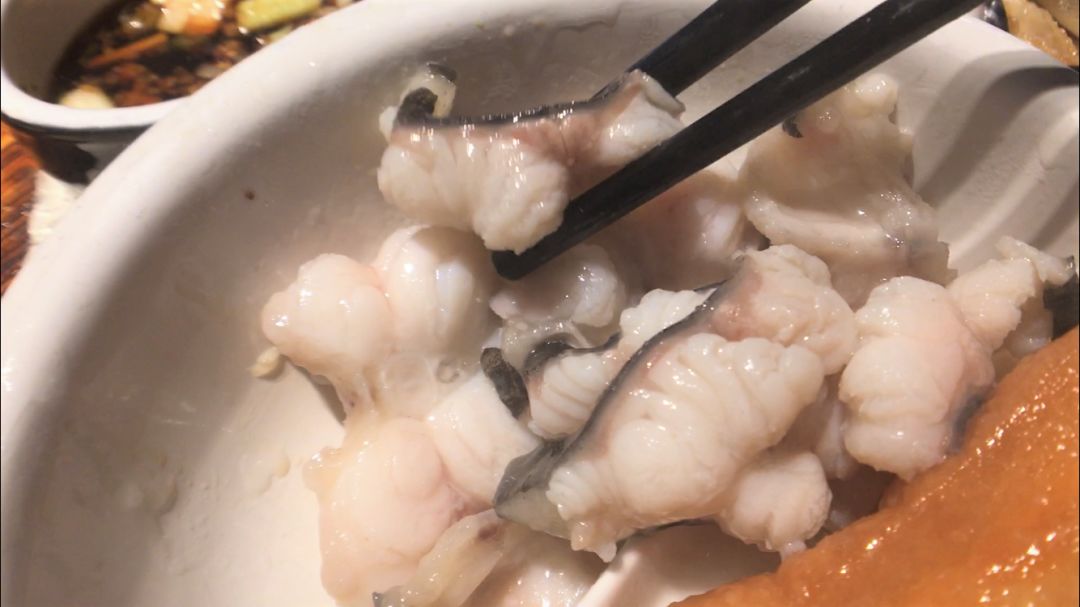 顺德啜吻鱼