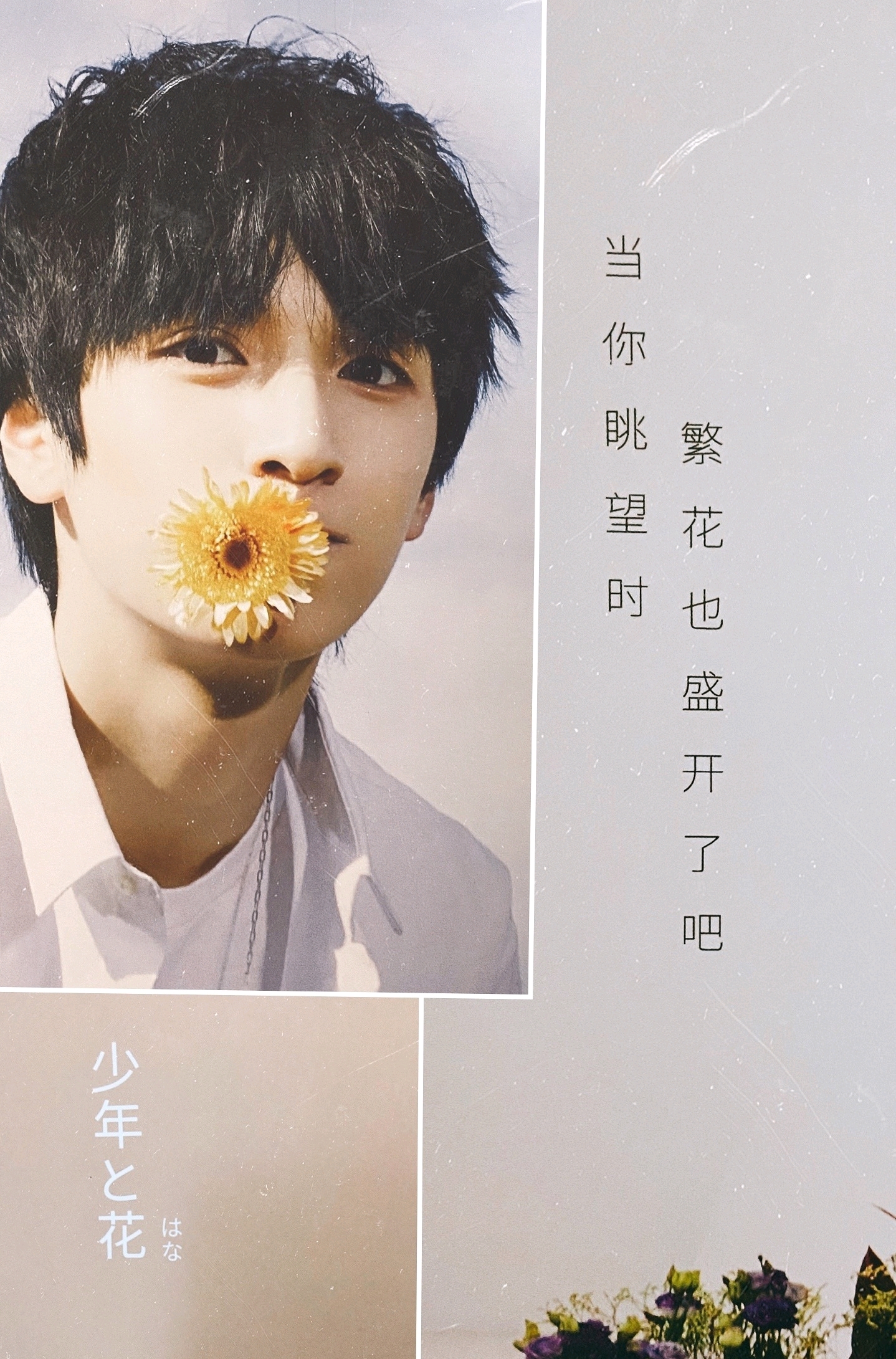 严浩翔 时代少年团《少年》vol1-少年と花 5月pb 七人