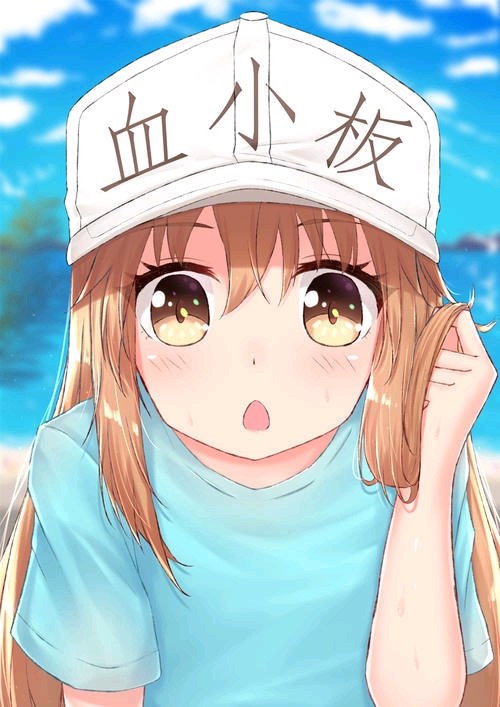 血小板!好可爱!《工作细胞!》