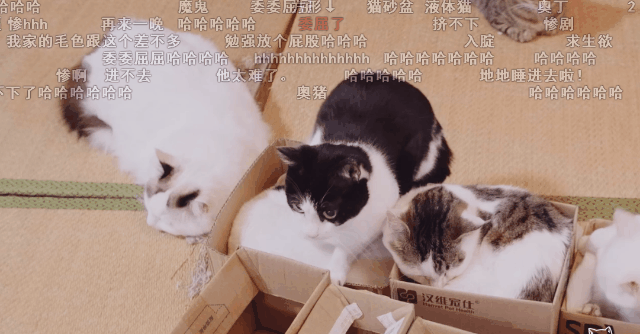 这个