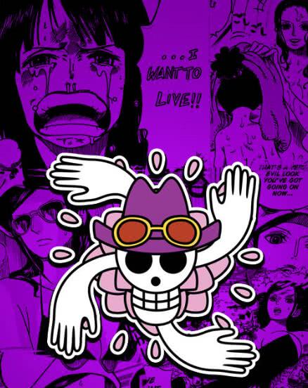 海贼王:草帽团各成员海贼旗亮相,索隆的霸气,山