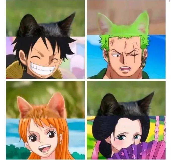 索隆猫,这个颜色可能就是p的吧,没见过绿色的猫,为了配合索隆的头
