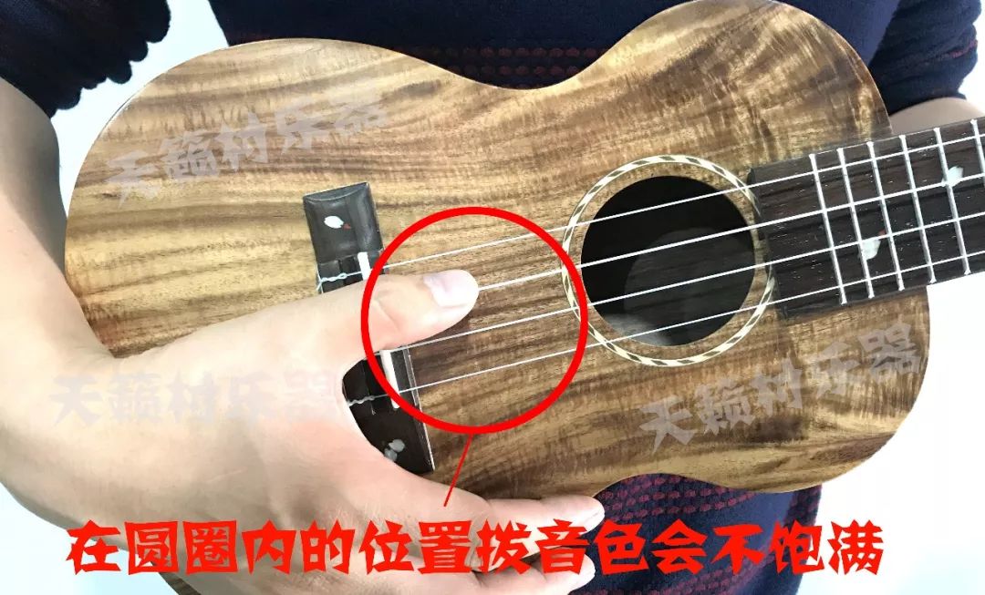 ukulele 教学 拨弦应该在哪个位置拨?