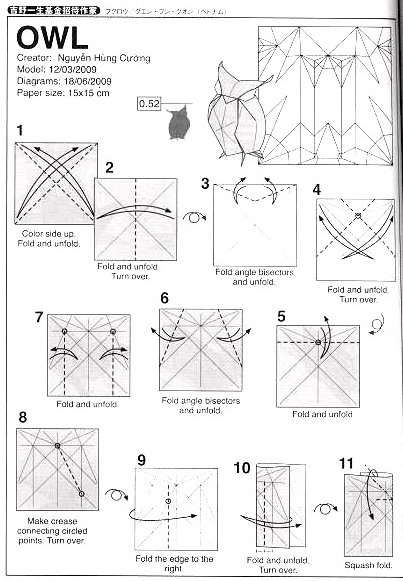 折纸阮红强猫头鹰