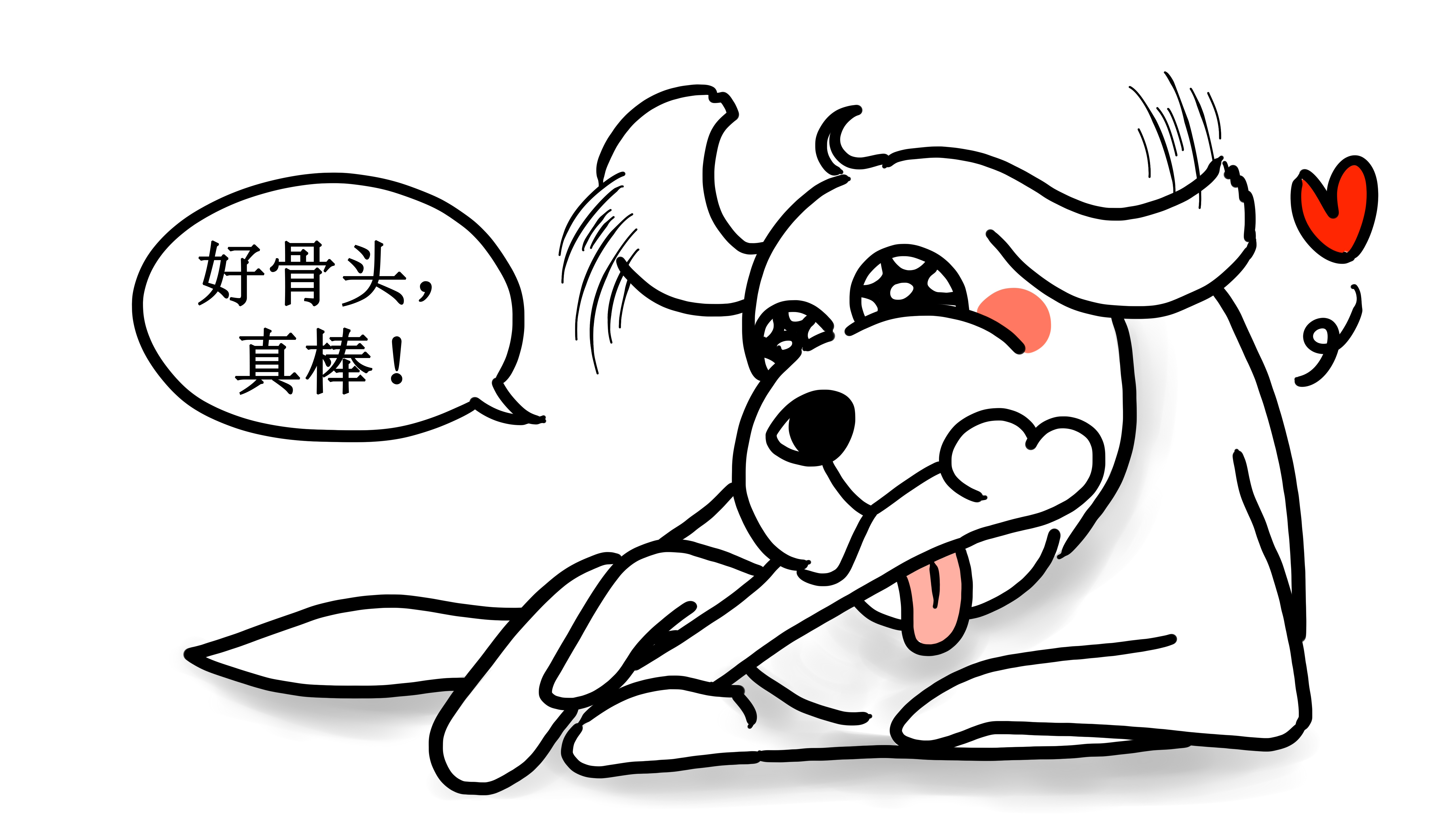 方法错了可能会!如何给狗选择合适的骨头?