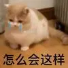 假发交钱
