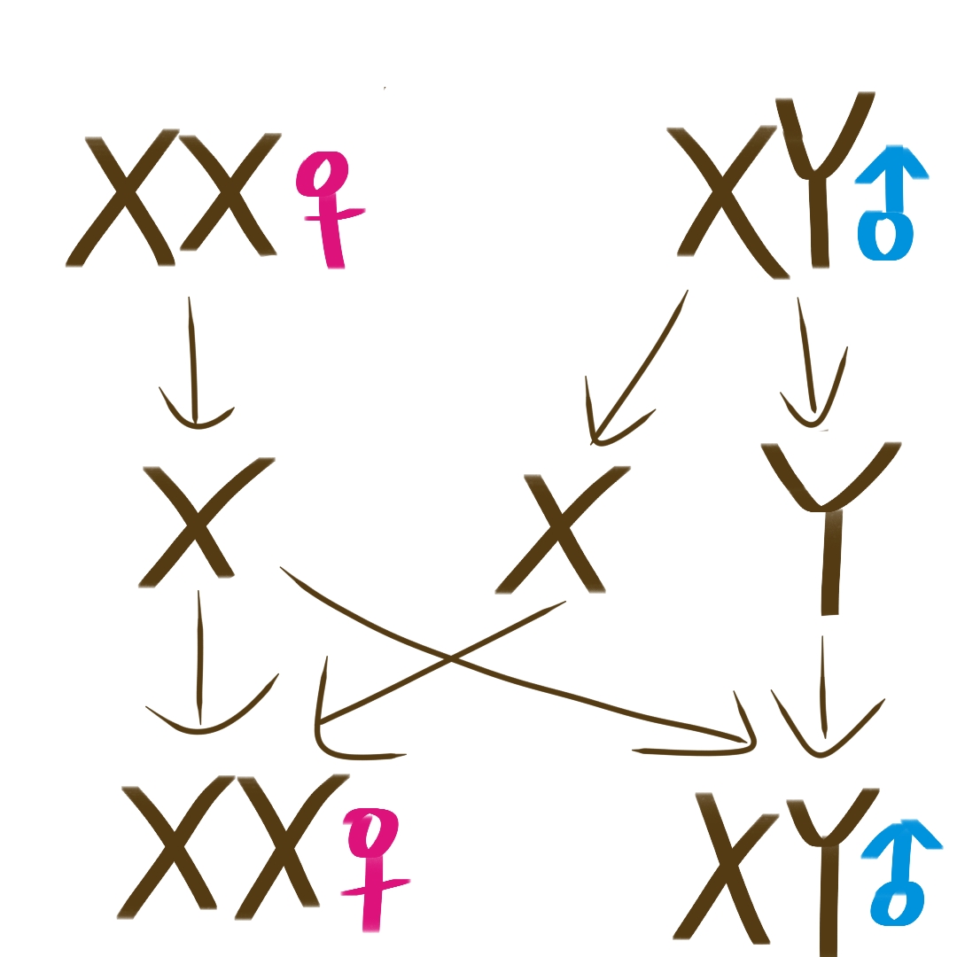 什么生色成语_成语故事图片(3)