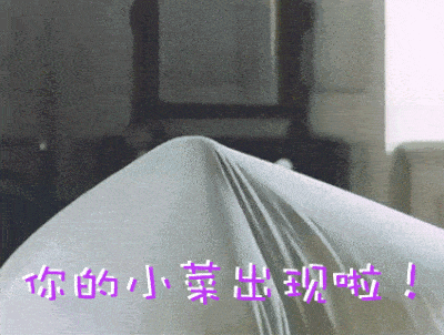 中森明菜〕叮咚～您订购的菜菜到了 请签收!
